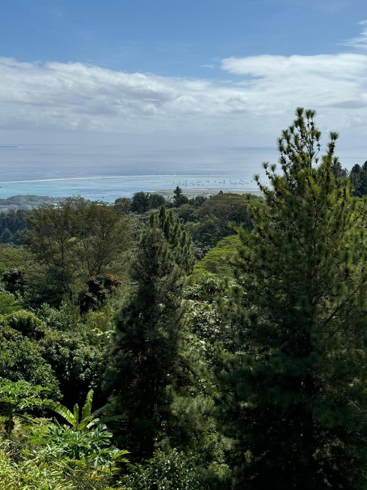 Studio Confort Avec Piscine Et Vue Tahiti Punaauia Exterior foto