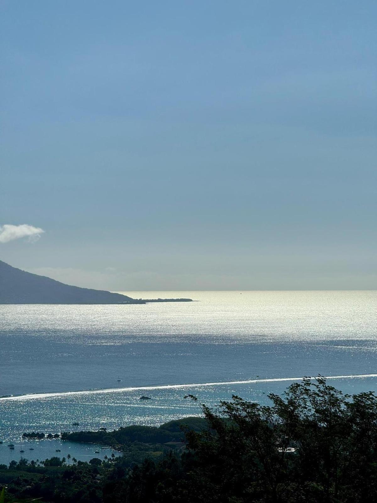 Studio Confort Avec Piscine Et Vue Tahiti Punaauia Exterior foto