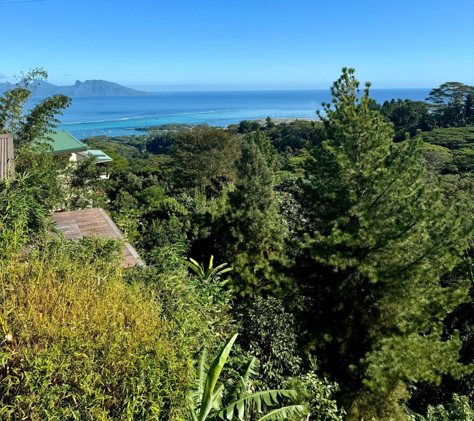 Studio Confort Avec Piscine Et Vue Tahiti Punaauia Exterior foto